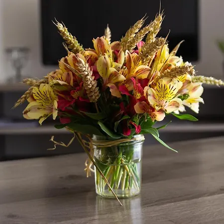 - Services Lejlighedshotel 3*